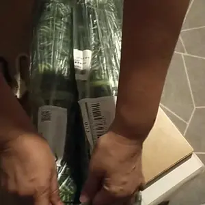 PAGAR DAUN RAMBAT HIASAN 3 M X 100 CM / 50CM X 300CM 1 ROLL bunga