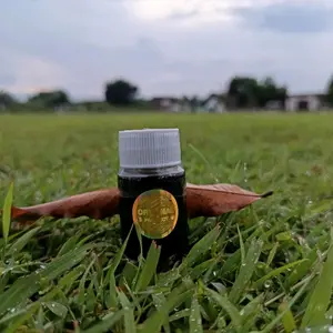 Minyak Pijat (Distributor utama) bhosee Asli original