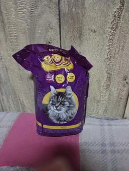 Product Review of Bolt 800gr Makanan Kucing Kering Rasa Tuna Dan Salmon from 𝙍**𝙩 𝙂** 2