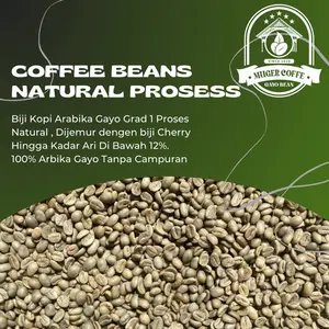 Muger Coffee Kopi Arabika Gayo Grad 1 Siap Roasting Spesialty Arabika Gayo Natural Prosses 1KG Biji Cherry Kadar Ari Bawah 12%
