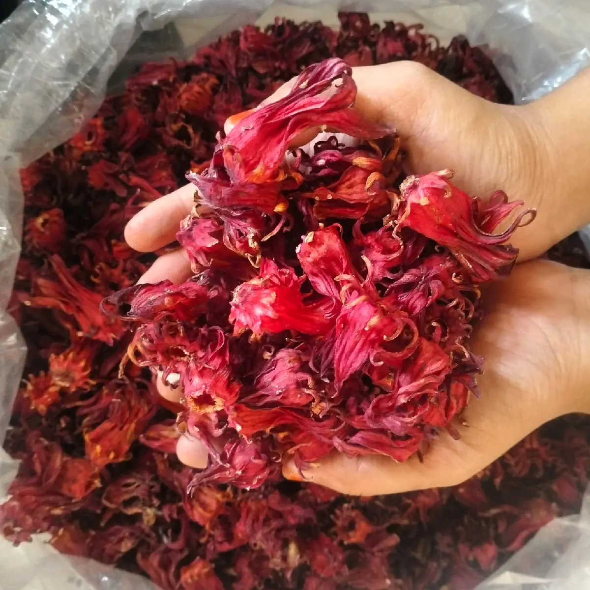 Bungga Rosella Merah Kering_ Rosela Kering 500 gram
