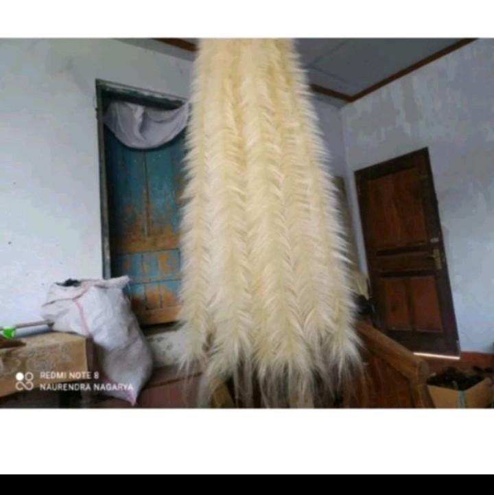 rambut rangnda/leak anggitan tangan murni.  per helai(1 helai) 135cm 3