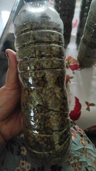 Product Review of Bumbu Masak - Andaliman 1kg from d**i 0