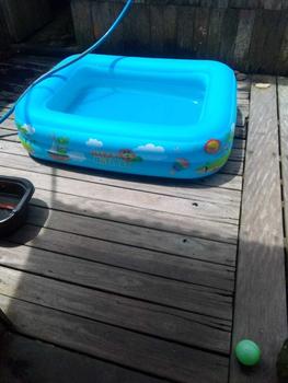 Product Review of SPEEDS Kolam Renang Anak 2 Layer 120cm Jumbo Bayi Tiup Luar Ruangan Inflatable Swimming Pool 020-39 from ف**ر ح** 0