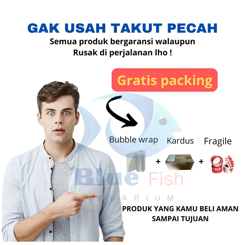 Aquarium minimalis full set lengkap Akuarium akrilik lengkap dengan mesin pompa filter sirkulasi dan lampu aquarium (P-002) 4