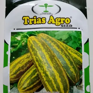 Benih Timun Suri ALESHA 21 Original TRIAS AGRO isi 10 Gram