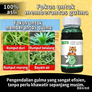 Untuk weeding luas, pilih herbisida ini! Menyerap cepat, sampai akar kering, satu musim tenang!