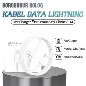 Borobudur Holog -Fast Charging Kabel Type-C-Lightning MFi + Charger 20W/35W, Tahan Lama For iPhone 8/9/10/11/12/13/14 Pro Max