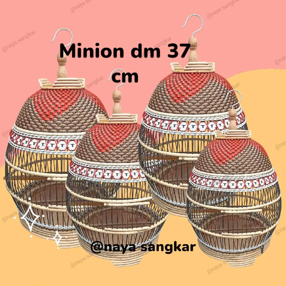sangkar perkutut minion dm 37 warna fresh terlaris