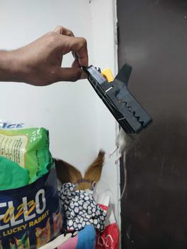 Product Review of Latest Mouse killer complimentary two traps can be reused White from ** 1