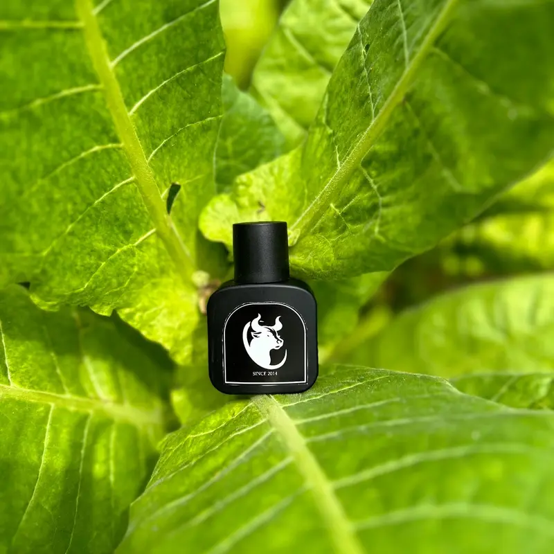 Parfum Cowok/Cewek Murah Meriah Wangi & Tahan Lama Perfume Pria Perempuan Wanita Merah 4
