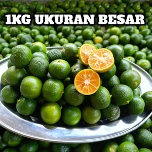 1KG JERUK SONKIT UKURAN BESAR JERUK KUNCI JERUK PERAS JERUK ASINAN KIAMBOY