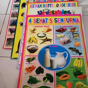 PAKET 6 LEMBAR POSTER  DINDING EDUKASI ANAK PAUD DAN TK SAMPAI SD