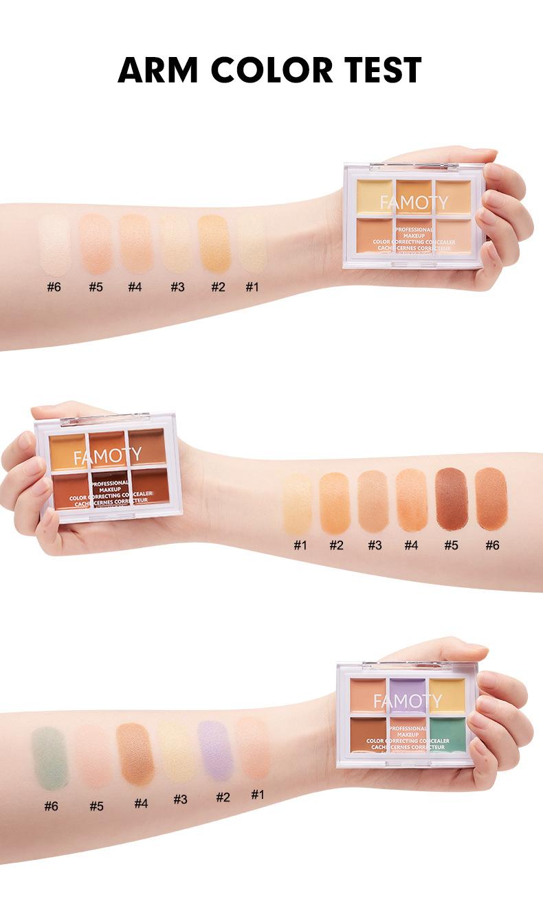 FelinWel - FAMOTY 6 Color Concealer Palette Waterproof Non-Take-Off