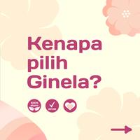 Gambar Madu Ginela Menstrual Care 1 BOX - Madu Datang Bulan Temani Hari Merahmu dari Ginela ID Kota Tangerang Selatan 2 Tokopedia