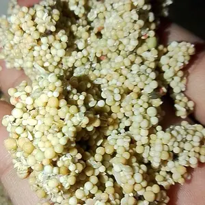 Pasir Hias Untuk Aquarium Kemasan 500 Gram & 1 Kg Pasir Media Tanam Aquascape Pasir Malang Pasir Bali Pasir Tiasand Pasir Silika Pasir Moza Pasir Yamaya Pasir Taiwan