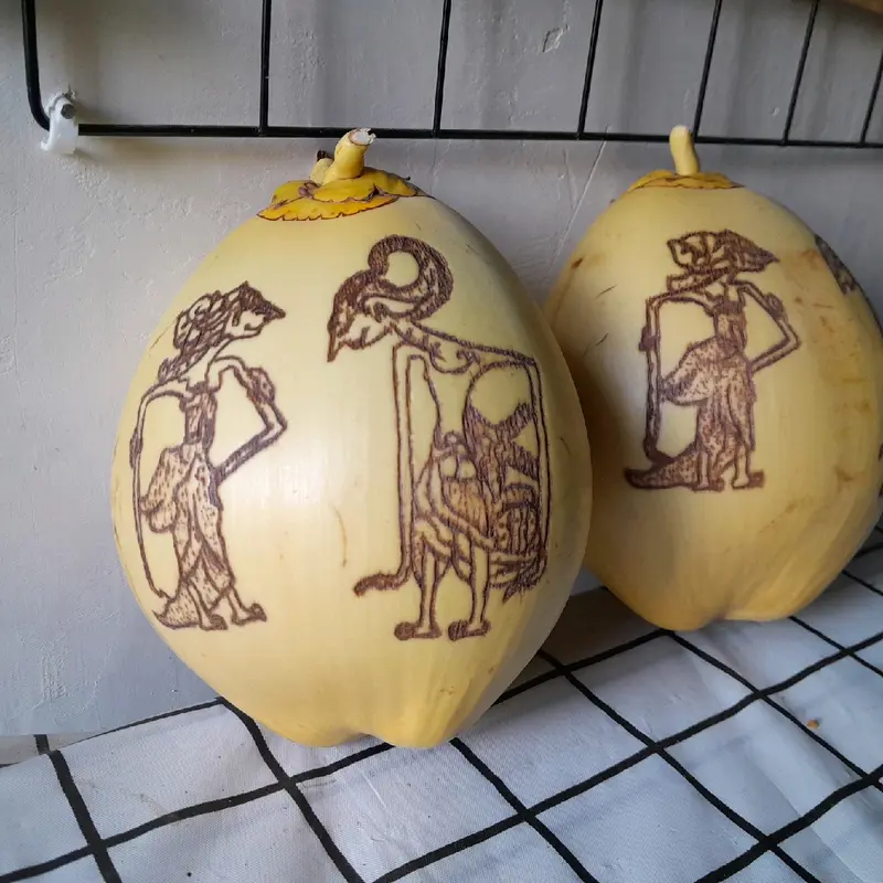 kelapa gading lukis 7 bulanan / kelapa 7 bulanan adat jawa / tingkepan 1