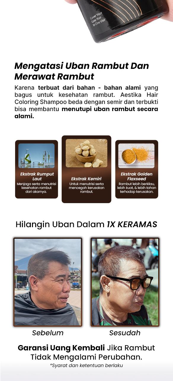 Product Introduction of [Promo Spesial] Aestika Dark Brown Hair Coloring Shampoo - Pewarna Rambut Beruban Kering Red Extract 1