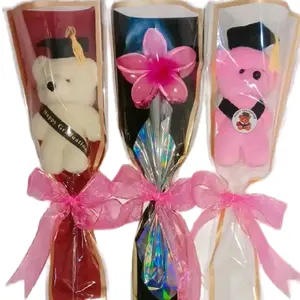 buket boneka wisuda dan buket jedai bunga Kamboja