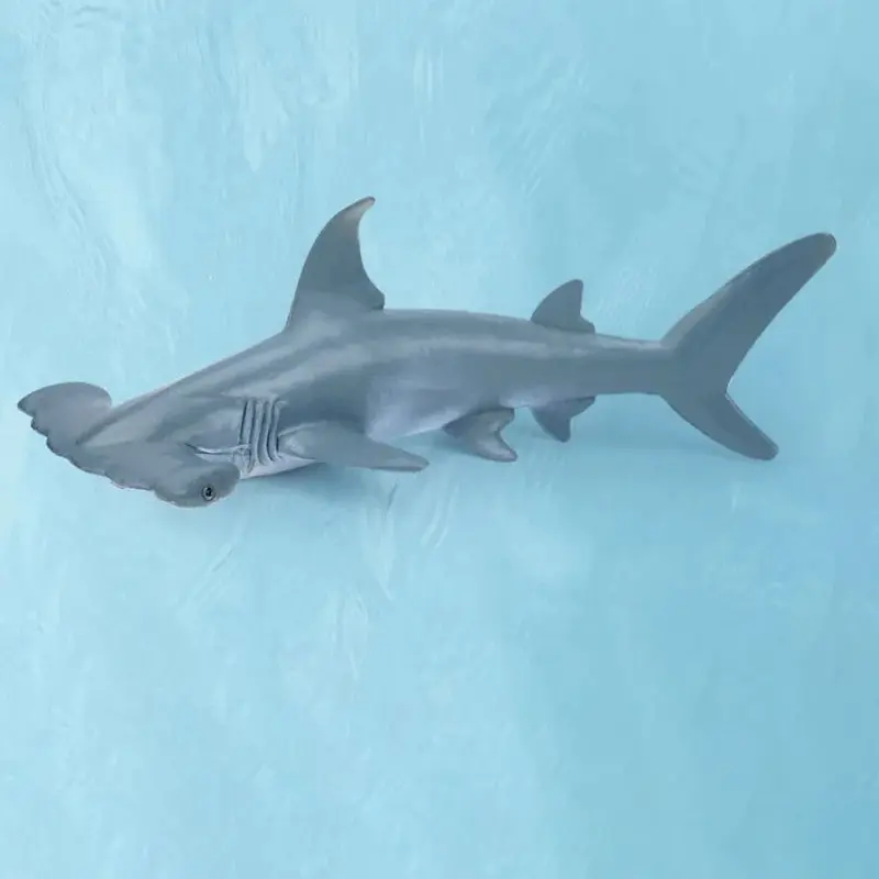 Mô Phỏng Động Vật Biển, Cá Mập Shark Cachalot, Tượng Người Cá PVC, Đồ Chơi Giáo Dục, Cá Voi, Hammerhead, Mô Hình Hành Động Đại Dương, Quà Tặng, Đồ Chơi 5