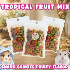 TROPICAL FRUIT MIX SNACK HAMSTER SUGAR GLIDER BUAH KERING MIXED MAKANAN SEHAT HEWAN PELIHARAAN KECIL
