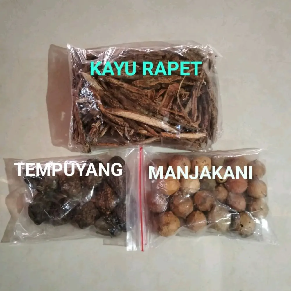 Tempuyang Manjakani Kayu Rapet paket 3 in 1 berat 150 gram Manjaan