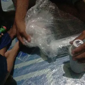 Bluecore Paket Vitamin Ikan & Bakteri Starter untuk Pembesaran dan Cegah Susut - Cocok untuk semua Jenis Ikan ( Lele, Nila, Patin, Gurame dan Laiya) - Pengurang Amonia, Penjernih Air dan Peningkat nafsu makan