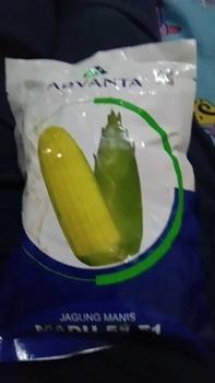 Product Review of Benih Jagung Manis MADU-59 F1 isi 250gr dari ADVANTA from B**g A**3 0
