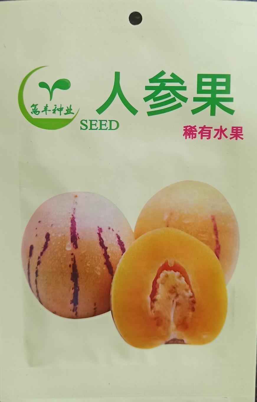 kemasan premium biji benih tanaman buah pepino kuning impor f1 ( isi -+ 100 butir biji benih)