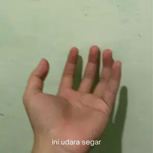 udara segar pegunungan pct