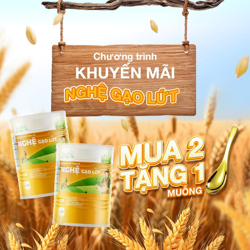    Combo 2 Sản Phẩm Tặng 1 Muỗng   BỘT NGHỆ GẠO LỨT 420g 