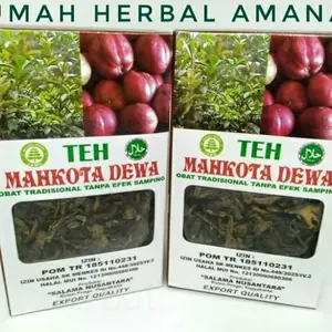 Teh Mahkota Dewa obat Stroke asam urat dll