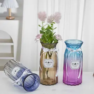 BOLITE Vas Bunga Kaca Estetik Nordic Ribbon Flower Vase - BT-65