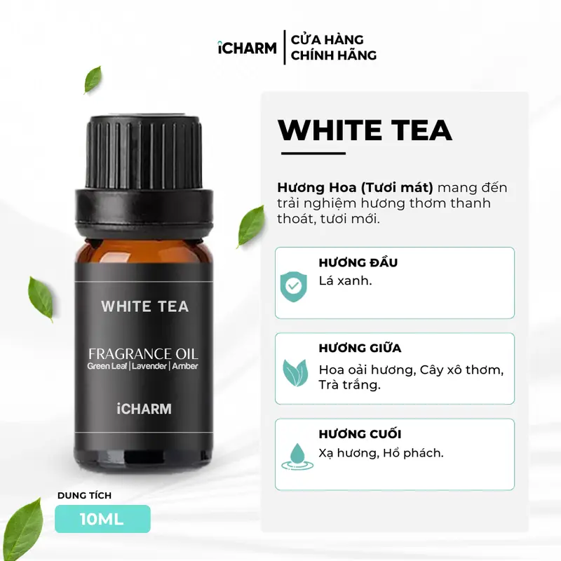 Tinh Dầu Thái Lan 10ml | Tinh Dầu Nước Hoa | Tinh Dầu Thơm Phòng | Hương Sang Chảnh 6