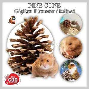 Pine Cone Mainan Gigitan Hamster Kelinci Pine Cone Hamster Pine Cone Kelinci Buah Pinus Mainan Kelinci Mainan Hamster Mainan Gigitan Anjing Snack Hamster Snack Kelinci