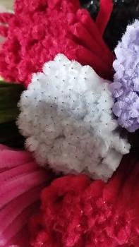Product Review of 100pcs Colorful Dense Fuzzy Wire Pipe Cleaner Craft Flower Chenille Stem Children's Handmade DIY Ingredients Wool Strip Macaron from 7**° 0