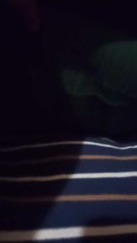 Product Review of Daily Dress Stripe & Simple Dress Cream Navy from n**7 0