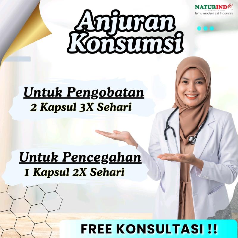 Gatal Alergi Biduran Ruam Kulit Psoriasis Eksim Herbal Naturindo Original Isi 50 Kapsul Busui 2
