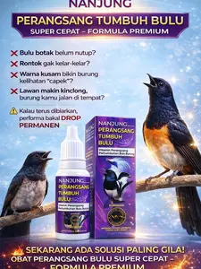 NANJUNG POWER - OBAT PERANGSANG TUMBUH BULU BURUNG - PENUMBUH BULU BURUNG - VITAMIN PENUMBUH BULU BURUNG - OBAT PENUMBUH BULU BURUNG - SUPLEMEN PENUMBUH BULU BURUNG - PENUMBUH BULU BURUNG CEPAT - CARA MENUMBUHKAN BULU BURUNG - 10 MILI