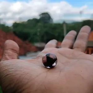 kelereng hitam belimbing empat