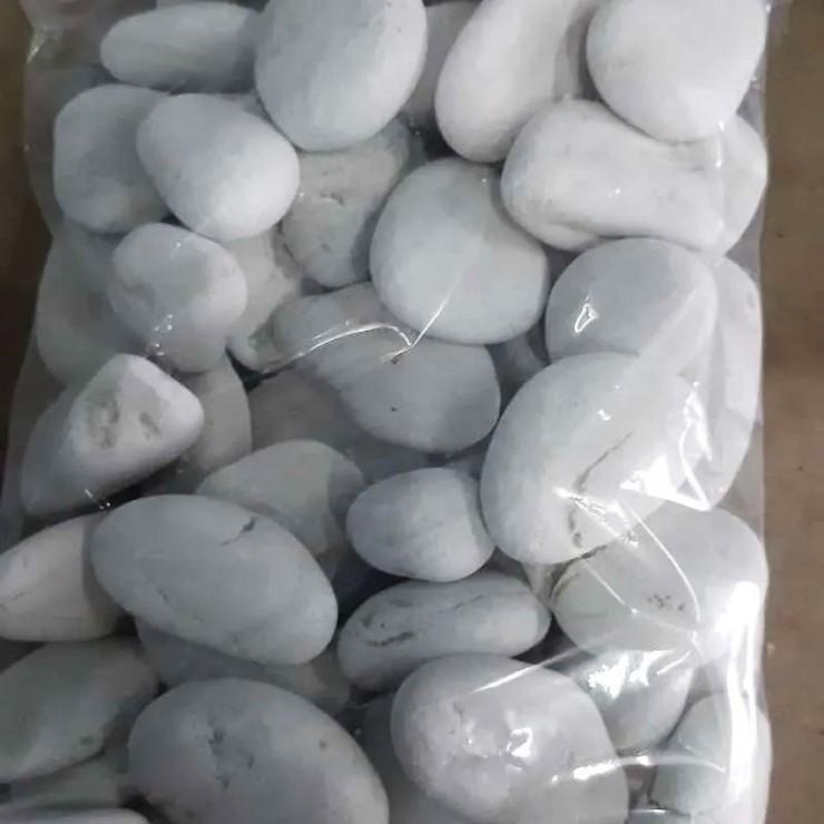 batu koral putih dekorasi aquarium aquascape berat 500 gram 1