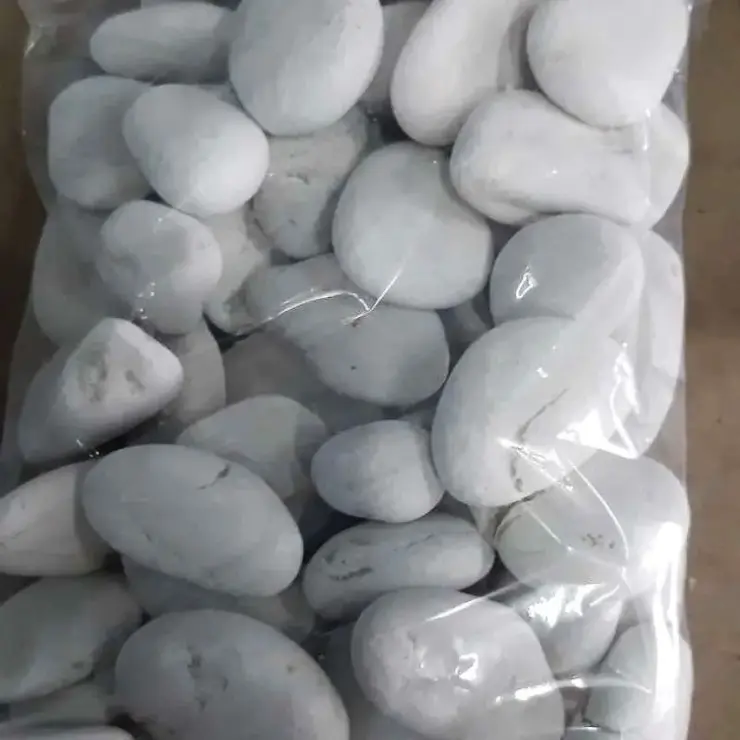 batu koral putih dekorasi aquarium aquascape berat 500 gram 1