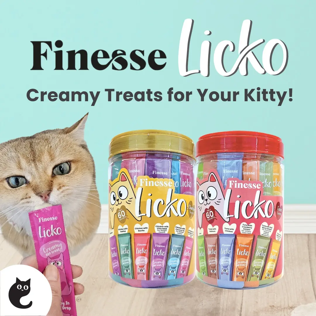 Finesse Licko Cat Creamy Treat 14g x 60s (2 Tubs)