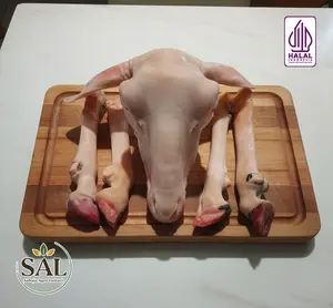 Kepala Kaki Utuh Kambing Domba Lokal, Halal dan Berkualitas