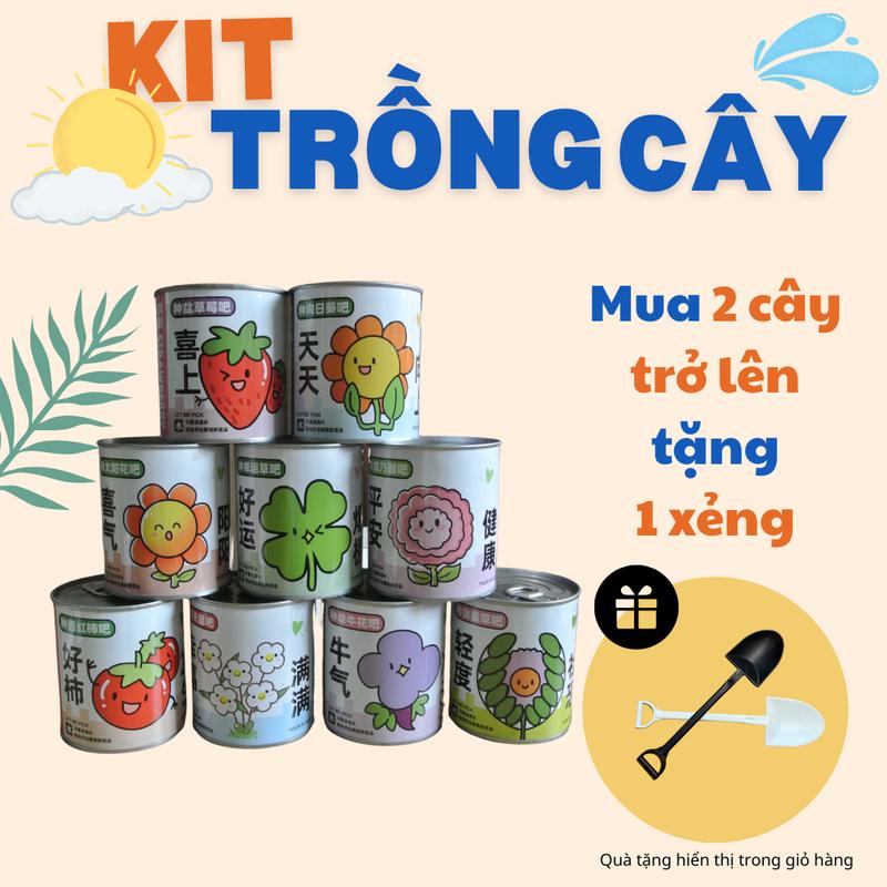 Đồ Chơi Hạt Giống Trồng Cây, Trồng Quả Cho Bé Tự Trồng Khám Phá