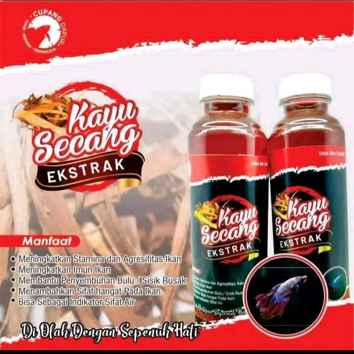 Extra Kayu Secang Untuk Perawatan Ikan