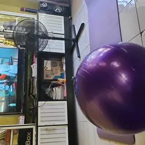 (Promo Terbatas) Goto [COD] Pezzi Gym Ball Bola Yoga Ibu Hamil Senam Olahraga Pilates Fitness
