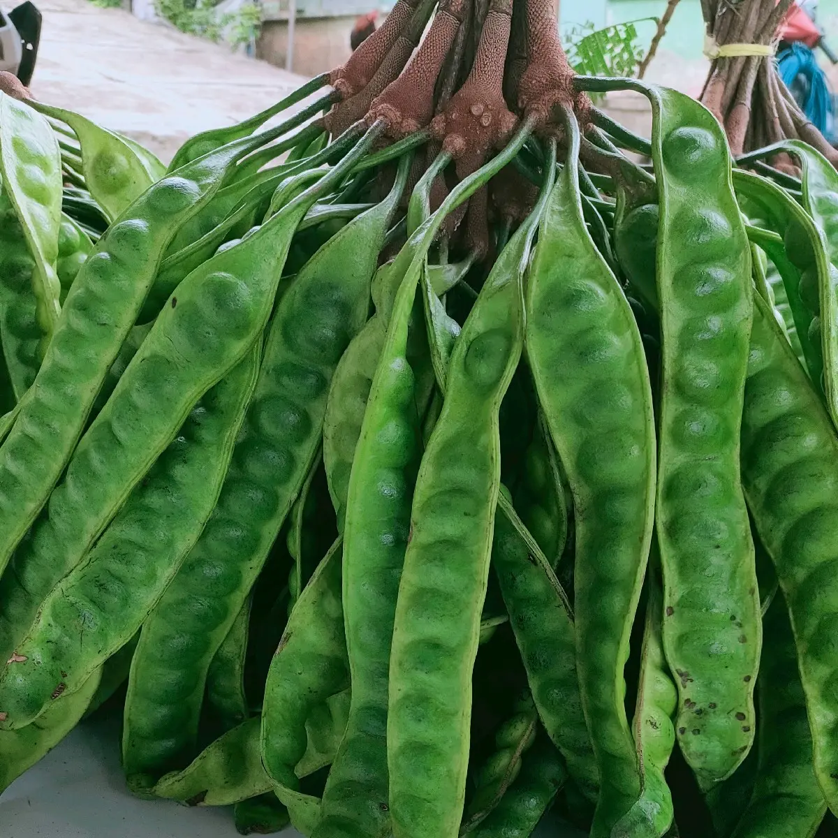 Pete Segar - Sayuran Segar untuk Masakan Anda - Kecombrang, Potato