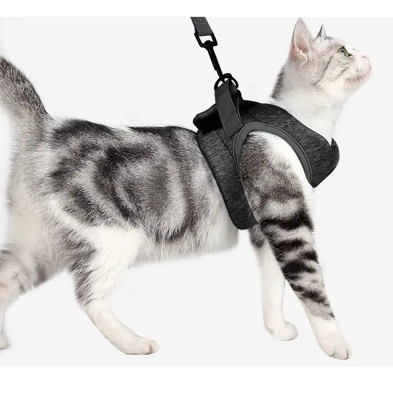 SG Cat Harness with Leash Cushioned Soft Comfort Chest Adjustable Escape Proof for Walking Outdoor Jacket Soft for Small Cat Dog Kitten Rabbit