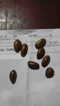 Product Review of 5 Bibit Benih Kopi Robusta Super Unggul from z** z** s**e 0